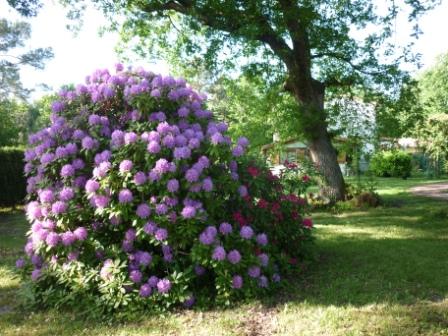 Vacances ou nuitées