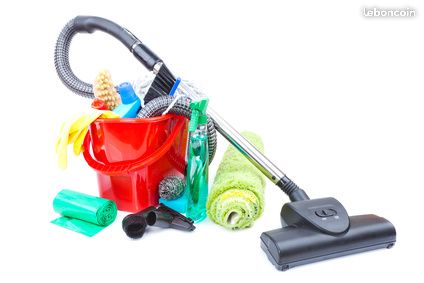 Entretien / Ménage chez des particuliers