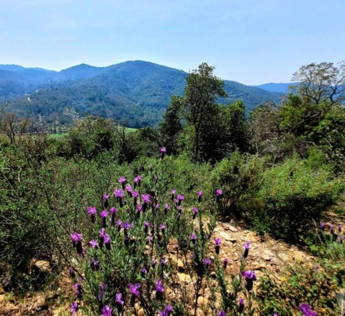 Terrain loisir très belle vue