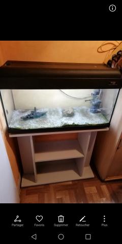 Aquarium 80cm avec meuble