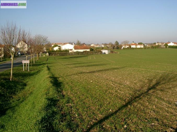 Terrains à vendre en lotissement