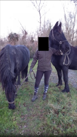 Balade à cheval ????????