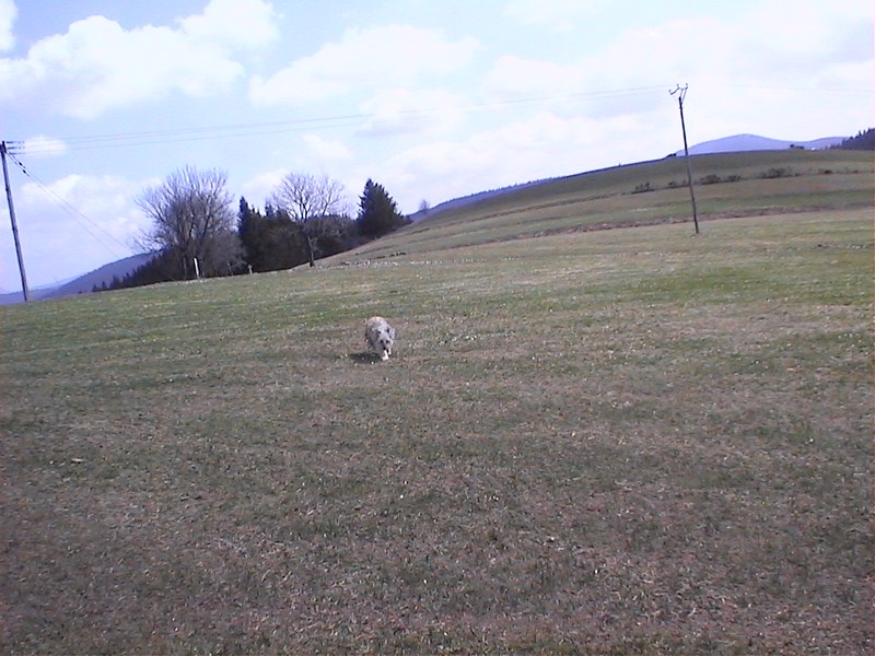 Maison terrain attenant