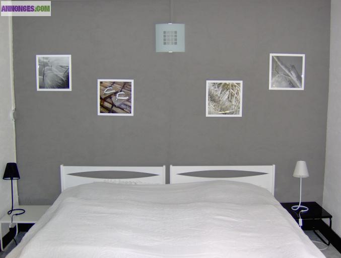 Location de vacances à Selles-sur-cher pour 4 personnes