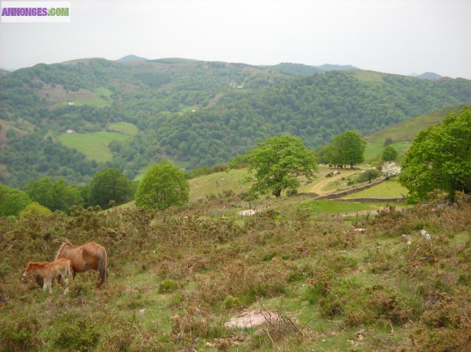 Location de vacances