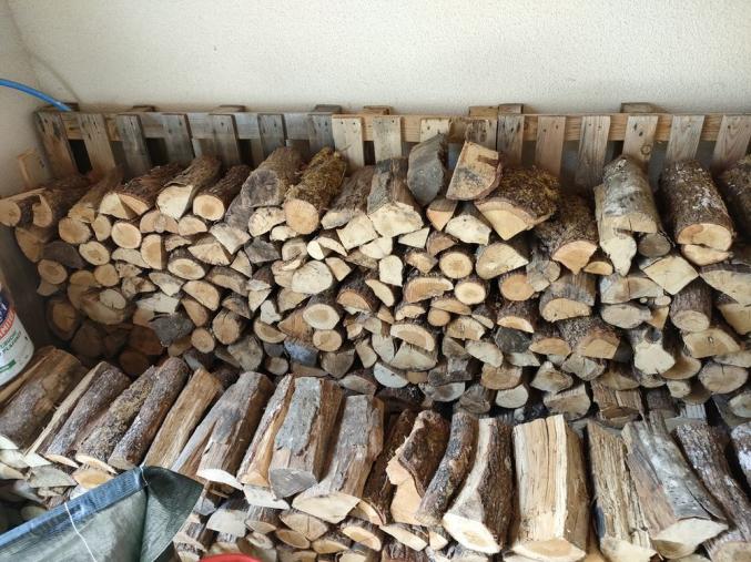 Bois de chauffage occasion à donner à Carignan-de-Bordeaux (33360)