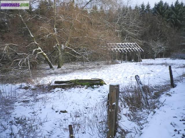 Hautes Vosges Typique Ferme 1829 isolée sur 70 ares