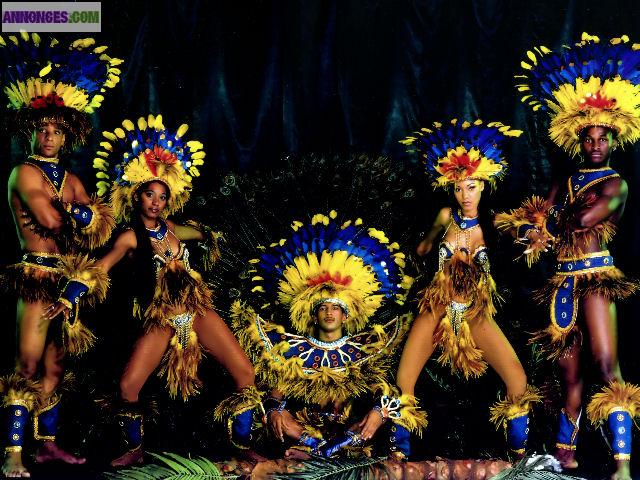 Costumes De Scène Brésilien "indien"