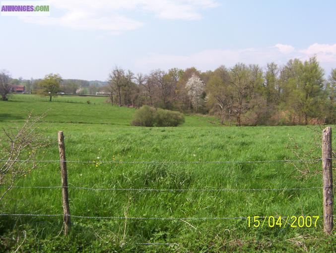 Terrain constructible