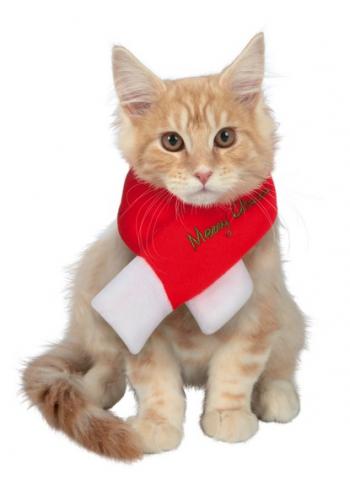 Echarpe de Noël Merry Christmas pour chiens et chats