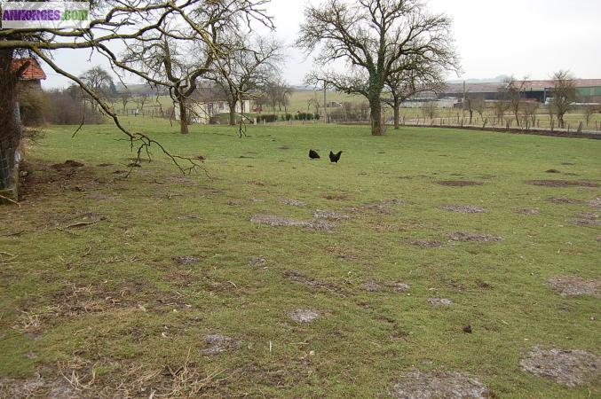 BEAU TERRAIN A BÄTIR