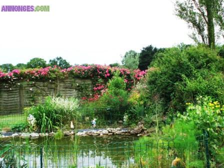 AGREABLE LOCATION DE VACANCES DANS LE FINISTERE