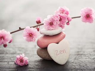 Formation naturopathe