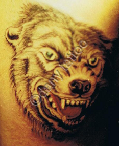 Triskel tattoo studio