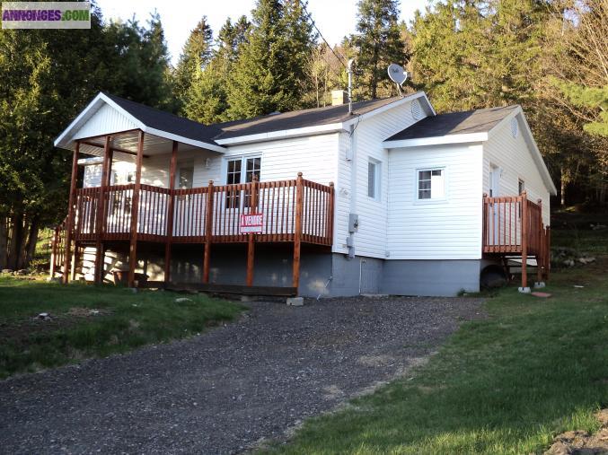 Maison a vendre animalerie pension elevage chien chat