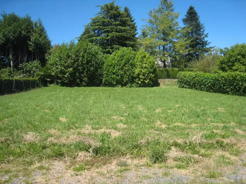 DONNE 300 M3 TERRE VEGETALE