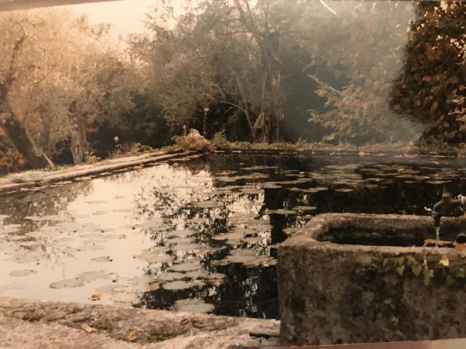 VEND TERRAIN A GRASSE