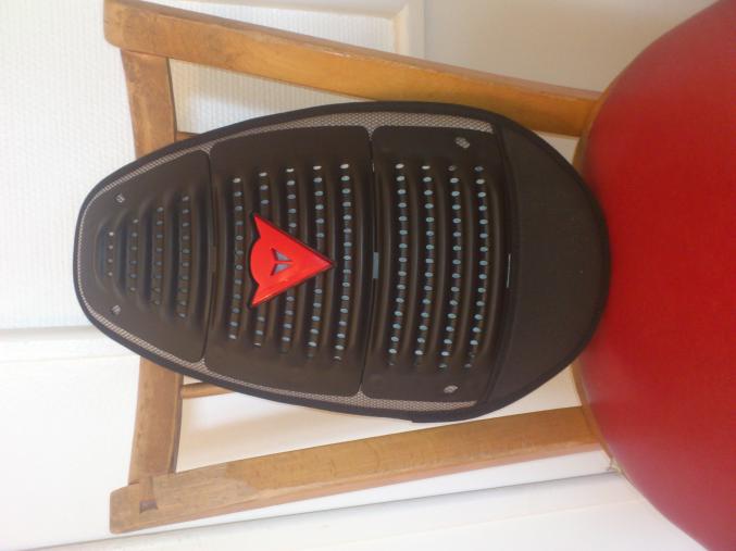 Cuir dainese racing pellet