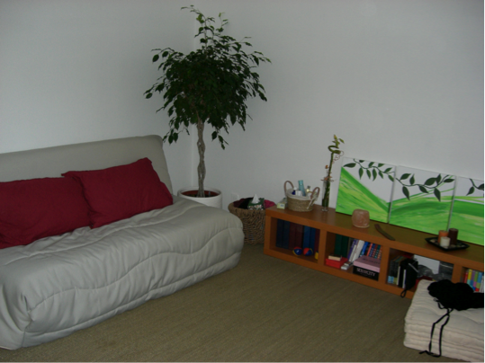 F1 31m2 au calme Strasbourg Krutenau