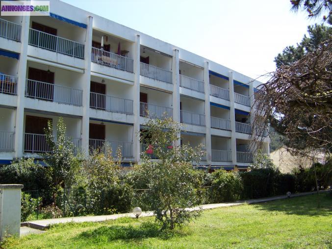 VENDS STUDIO CORSE DU SUD