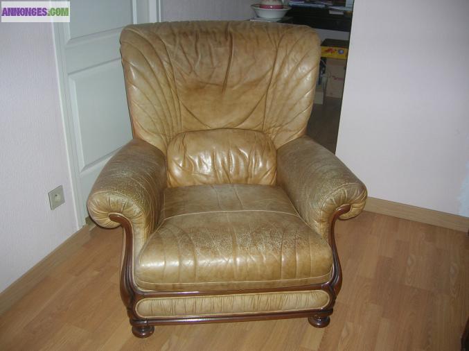 Fauteuils cuir 35 euros