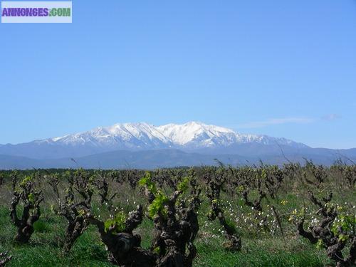 Moulin-à-vent en face la piscine