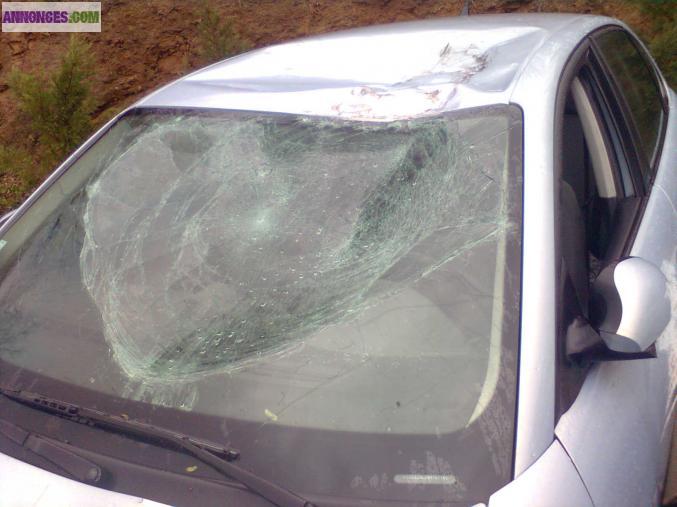 Seat ibiza 1.9 tdi accidenté pour piéce