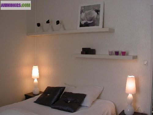 Appartement F1 meublé