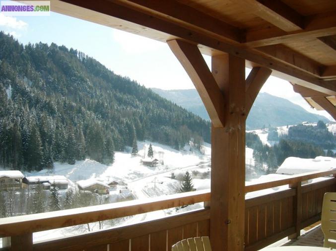Magnifique chalet en bois brossé