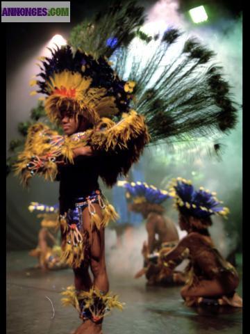 Costumes De Scène Brésilien "indien"
