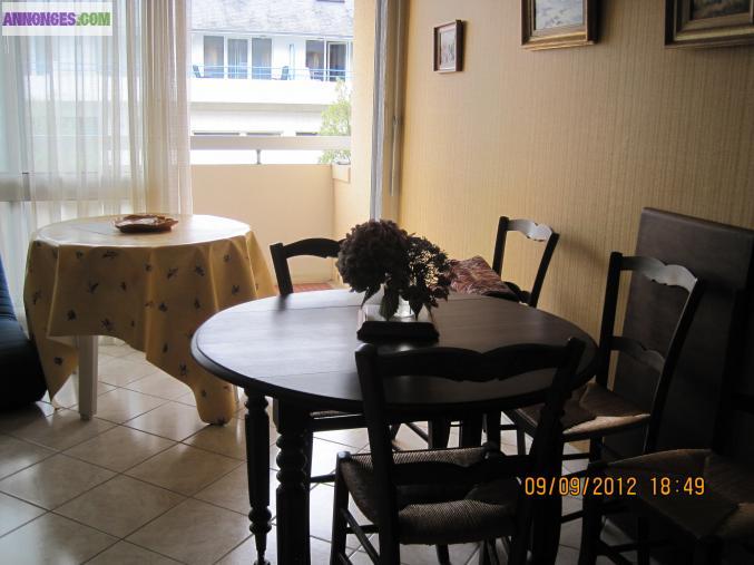 VENDS STUDIO 28M2 A 30M DE LA PLAGE