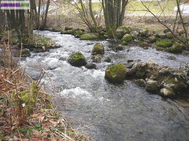 La Maison de Xonrupt sr son grand Terrain au bord de la rivière