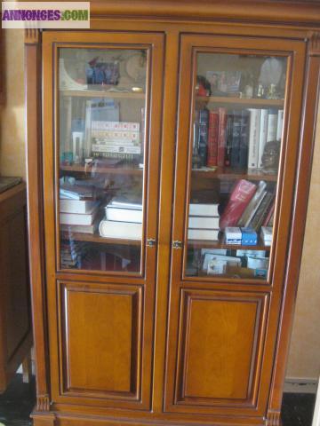 Bibliothèque à saisir