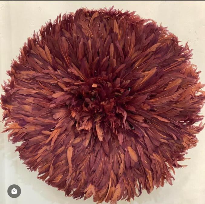 LE JUJU HAT DÉCOIFFE NOS MURS.