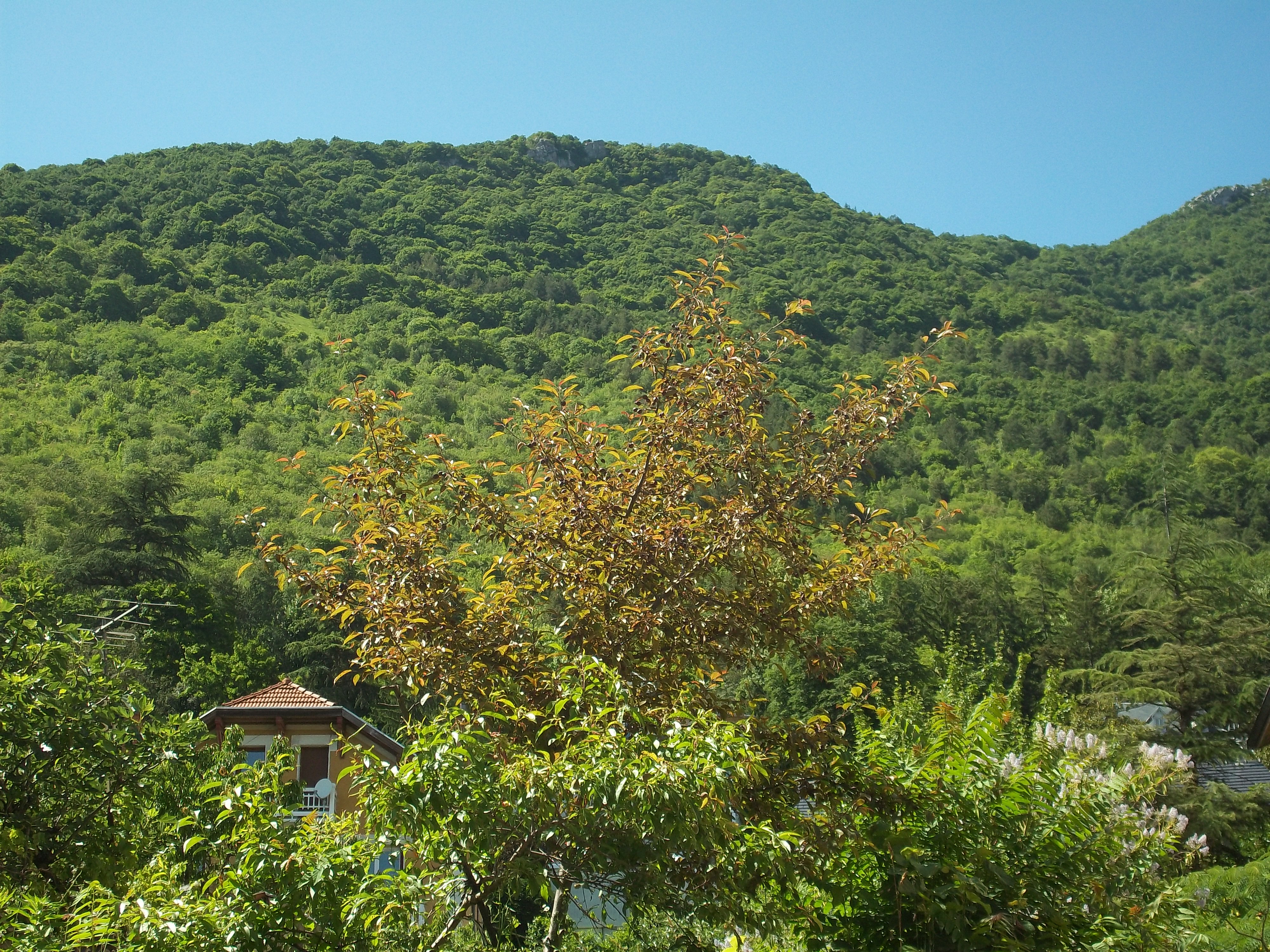 ATYPIQUE 25m2 à Neuf - La Petite Tronche limite Grenoble (face île verte)