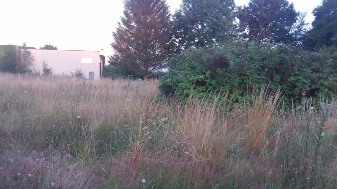 Vend bâtiement industriel+ terrain 1ha + bureau