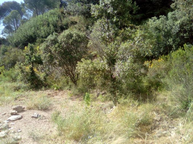 Terrain agricole non constructible