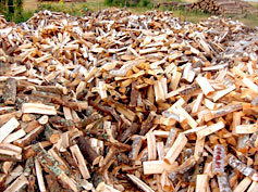 Bois de chauffage coupé il y a plus de 3 ans