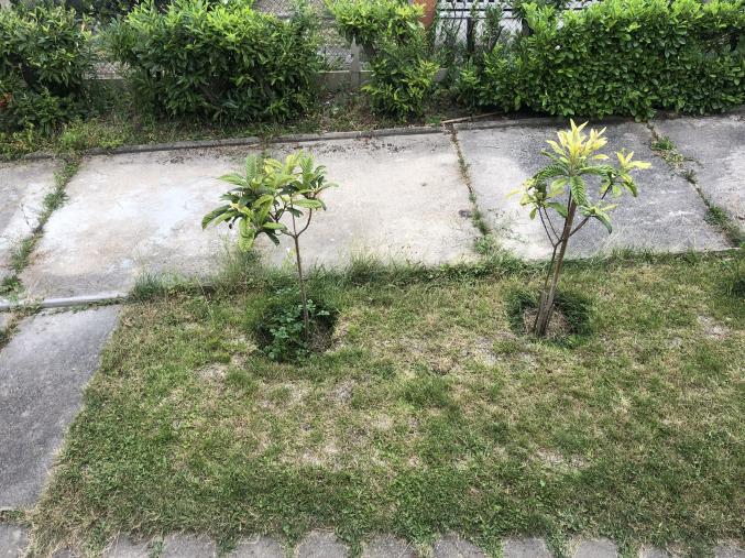 Parking à loué dans une maison