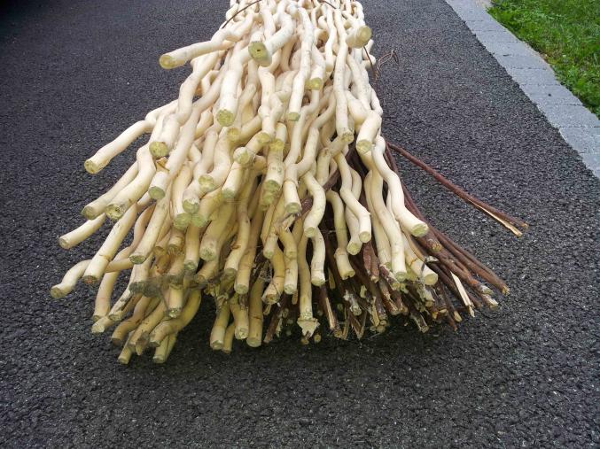 Lot de branchage torsadé