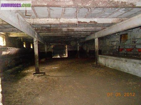 Corps de ferme pour investir et  activité