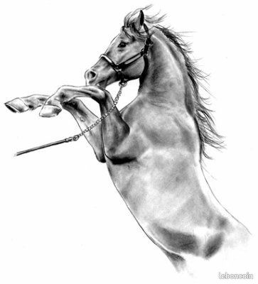 DAME PROF Donne COURS DESSIN PEINTURE Ts STYLES, Ts NIVEAUX en SAVOIE