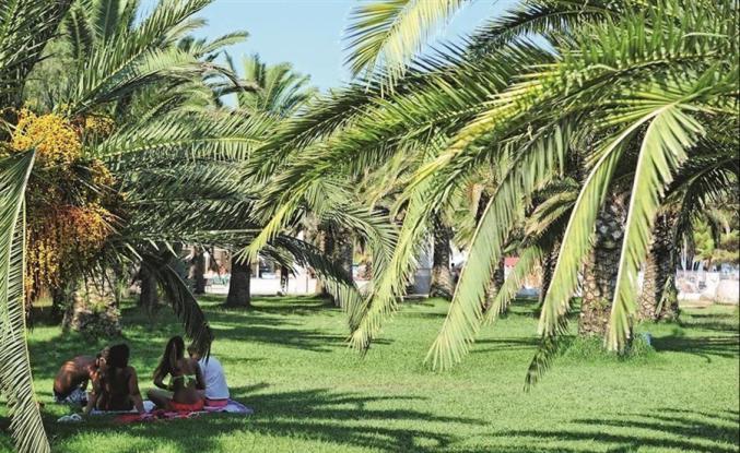 Bungalows Village de Vacances Piscine mer 150 m