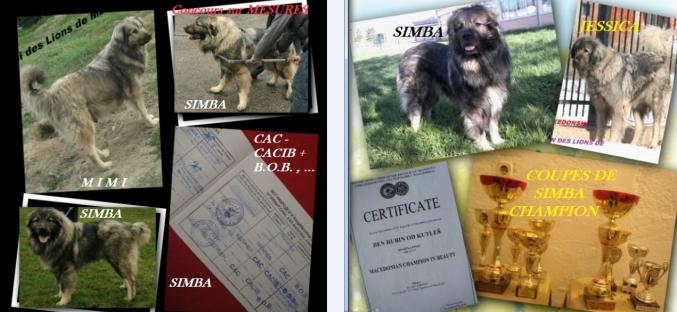 Propose tous travaux de jardinage et construction LIEGE