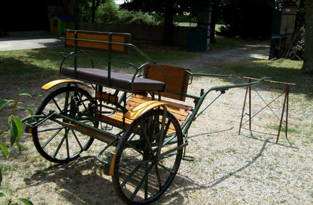 Voidure d'attelage cheval