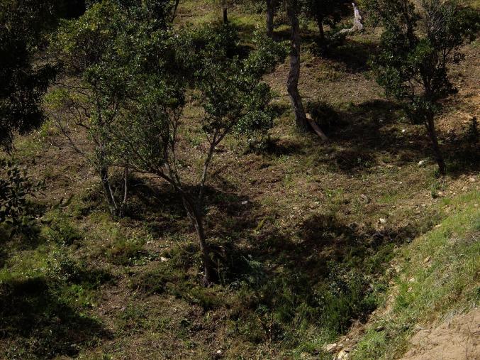 Terrain constructible