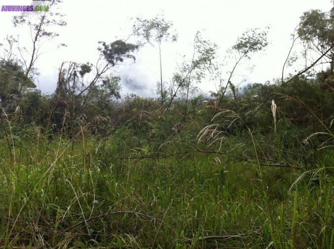 PARCELLE DE TERRAIN A BÂTIR DE 635 M²