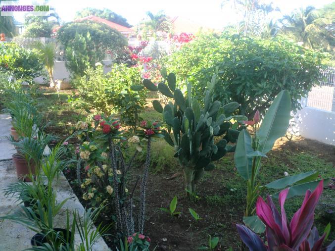 LOCATION SEMAINE MOIS