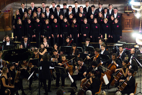 Oya Kephale recherche des intrumentistes !