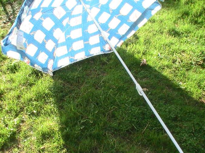 Parasol neuf 5€
